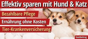 Read more about the article Finanzielle Freiheit und Furry Friends: Nachhaltige Hundehaltung für ein budgetbewusstes Leben